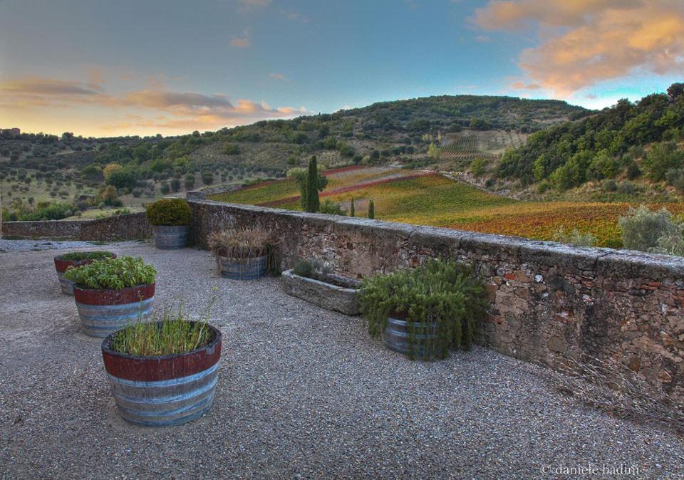 세지아노 Dimora Toscana 아파트 외부 사진